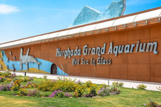 Hurghada Grand Aquarium Day Tour